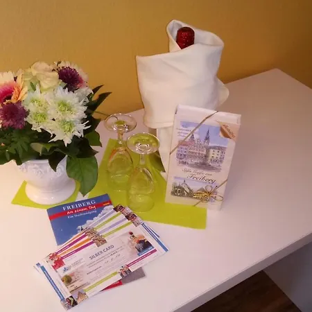 Am Obermarkt 3* فرايبرغ